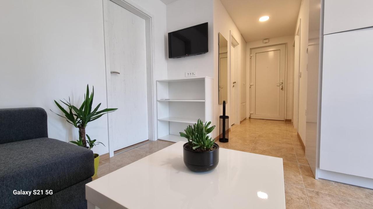 Apartment Rivarela Blu - Newly Renovated And Top Location Near Sea Novigrad Istria Exteriér fotografie