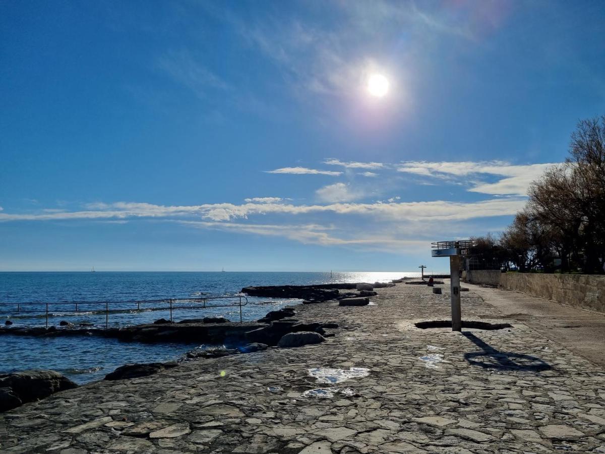 Apartment Rivarela Blu - Newly Renovated And Top Location Near Sea Novigrad Istria Exteriér fotografie
