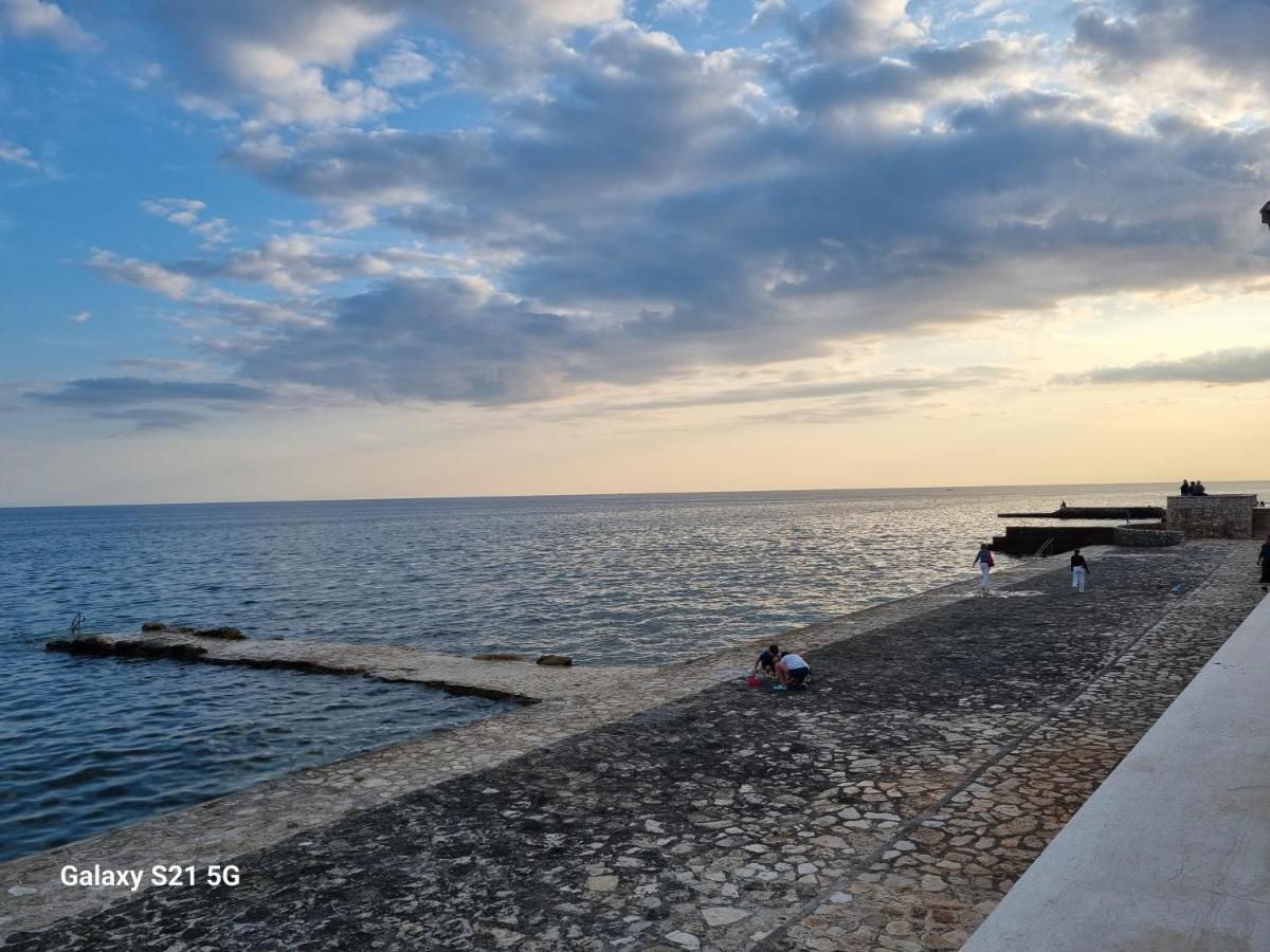 Apartment Rivarela Blu - Newly Renovated And Top Location Near Sea Novigrad Istria Exteriér fotografie